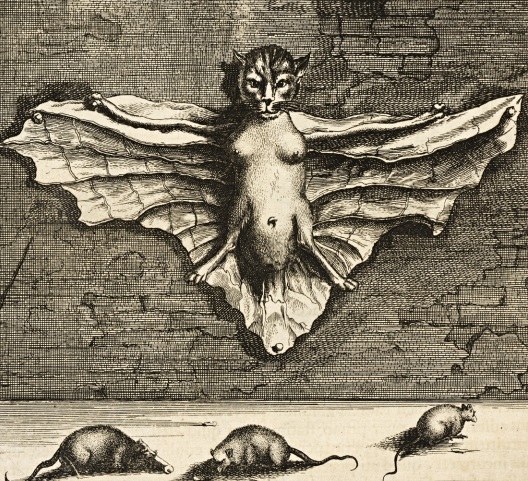 Kircher Athanasius: China Monumentalis / 1667 / 1. vydání v původní obálce / 33 x 21 cm / vyv. cena 80 000 Kč