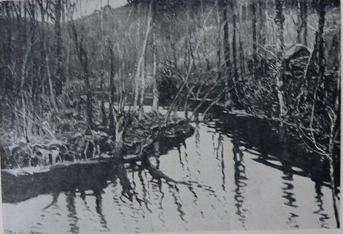Václav Radimský: Lesní potok / olej na plátně / Antikva, Spálená 24 / listopad 1950 / vyvolávací cena 8 000 Kčs / konečná cena nedochována