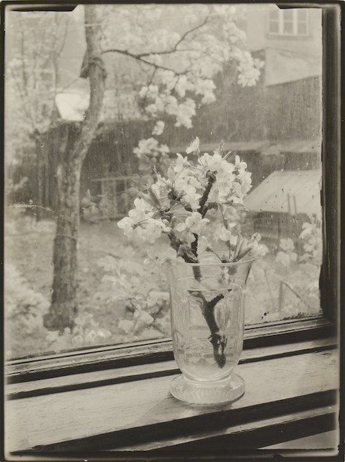 Josef Sudek: Okno mého ateliéru, 1944–53