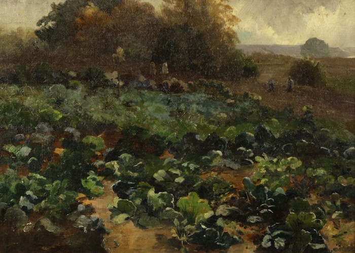 Antonín Slavíček: Zelné pole (Kapusta), kolem 1908,