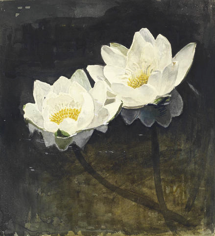 František Kupka: Lekníny