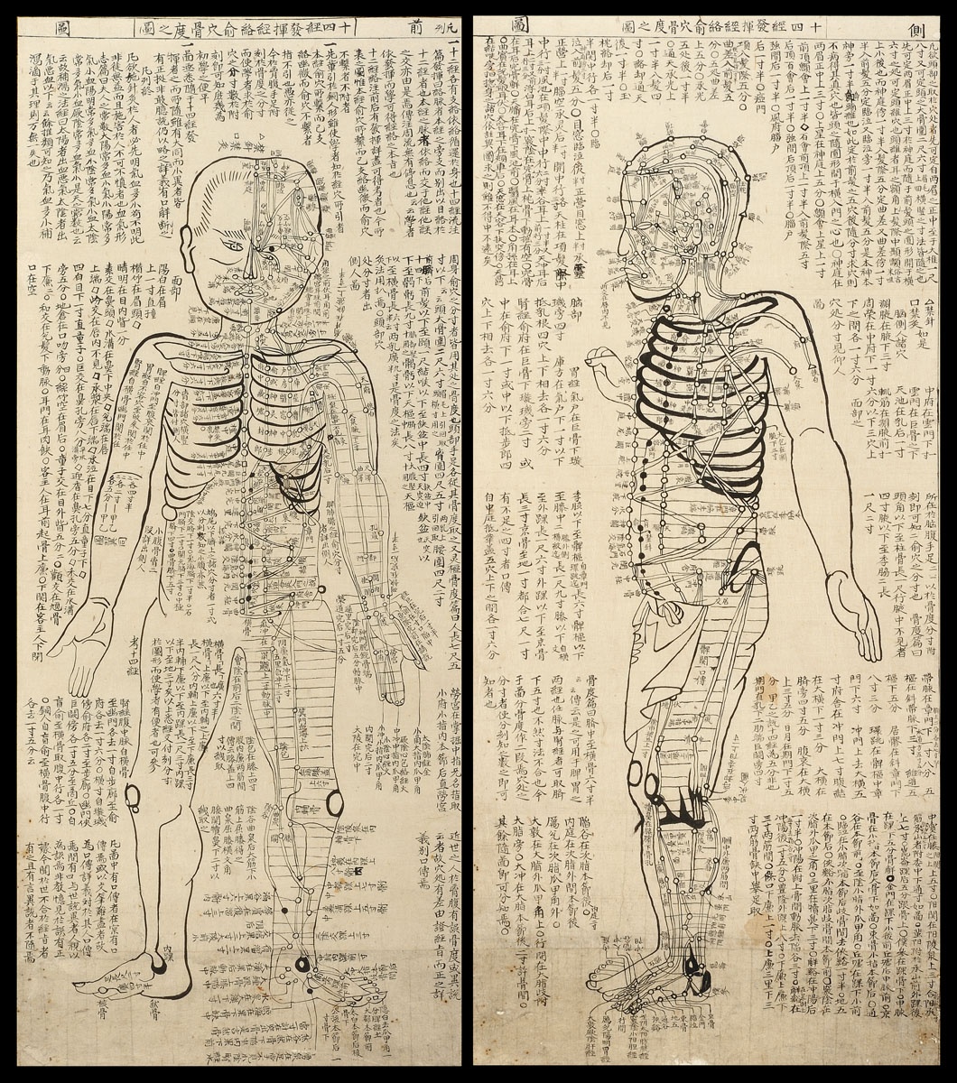 Pár akupunkturních modelů / Čína, dynastie Čching / tuš na papíře / 65 x 27 cm / vyv. cena 18 000 Kč