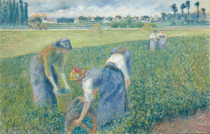 Camille Pissaro: Rolníci pracující na poli / Pontoise, 1881 / kvaš a křída na papíře / 32,2 x 49,7 cm / Christie's 25. 3. 2015 / 1 381 500 eur