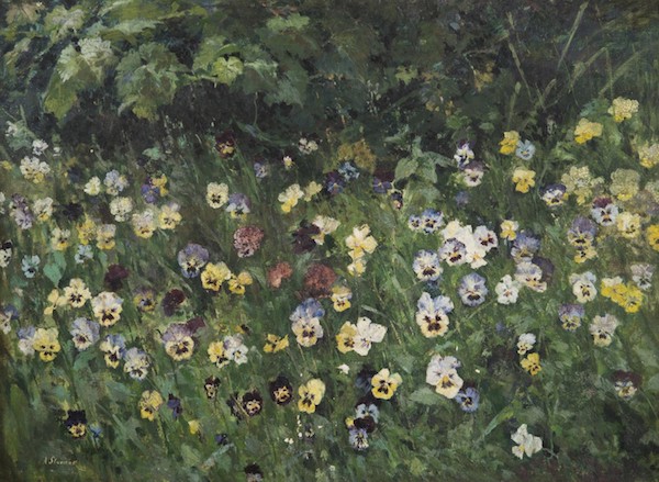 Antonín Slavíček: Macešky, okolo 1895,