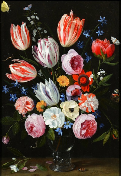 Jan van Kessel st.: Květinové zátiší