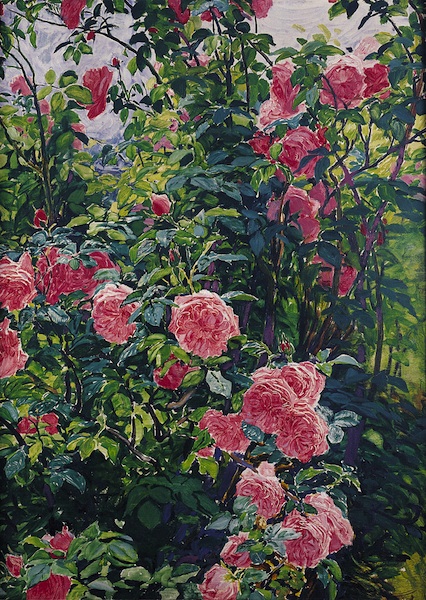 František Kupka: Růžový keř v květu / 1898