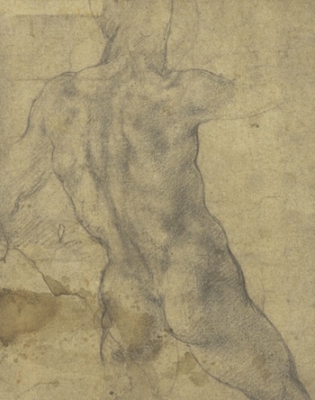 Michelangelo Buonarroti: Studie mužského aktu