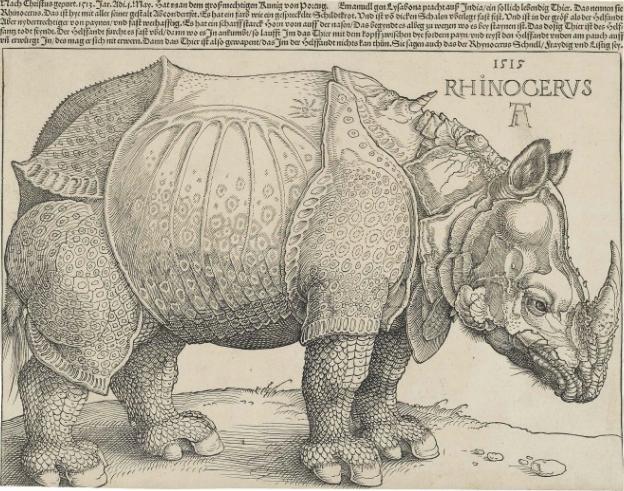 Albrech  Durer: Nosorožec / dřevoryt na papíře / 1515